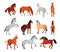 Horse poses. Wild horses walking or gallop running pose, arabian mare farm animal hoof gait trotter run grazing