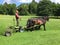 Horse-powered lawnmover