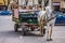 Horse pulling the rickshaw on the street