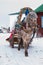 Horse pulling sleigh in winter - Mongolia