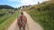 Horse pulls a chaise on a dirt path on a sunny day