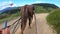 Horse pulls a chaise on a dirt path on a sunny day