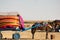 horse pulls a colorful cart for tourists to see white desert in Gujarat