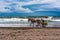 Horse pulls a small wagon on the beach. Public transportation