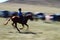 Horse race at Naadam festival with a child in Mongolia