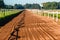Horse Race Sand Training Track Landscape