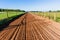 Horse Race Sand Training Track Landscape