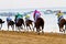 Horse race on Sanlucar of Barrameda, Spain