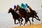 Horse race on Sanlucar of Barrameda, Spain, August 2011