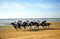 Horse race in Sanlucar de Barrameda, Spain