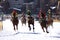 Horse Race in the snow