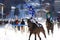 Horse Race in the snow