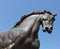 Horse racetrack statue in Milan