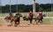 Horse Racing