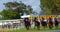 Horse Racing in Barbados at the Garrison Savannah