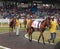 Horse Racing in Barbados at the Garrison Savannah