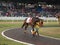 Horse Racing in Barbados at the Garrison Savannah