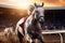 Horse racing, betting on equestrian sports. An equestrian. Many horses are competing, running against the background of the sunset