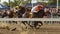 Horse racing and crowd in slow motion