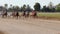 Horse Racing Harness Racing At Racecourse