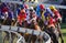 Horse racing in Mauritius, Maiden Cup 1 September 2019