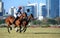 Horse Racing in Mumbai