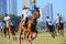 Horse Racing in Mumbai