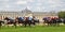 Horse racing opposite the Living Museum of the Horse