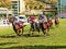 Horse racing in Port-Louis, Mauritius - full competition