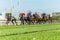 Horse Racing Running Action