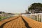 Horse Racing Sand Tracks