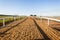 Horse Racing Sand Tracks