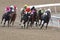 Horse racing at Woodbine in Toronto.