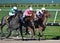 Horse racing at Woodbine in Toronto.