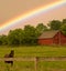 Horse and rainbow