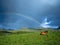 Horse and Rainbow, Lofoten Norway