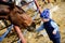 Horse ranch. Boy feeding horse