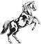 Horse Reared vector drawing