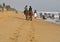 HORSE RENEWAL SESSION ON SEA SAND