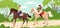 Horse ride of couple in nature, man and woman sitting on backs of running horses