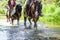 Horse ride, young girls riders, crossing a river on horseback.