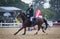 Horse and rider in action at a horse show.