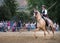 Horse and rider being part of dressage show