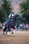 Horse and rider being part of dressage show
