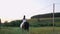 Horse rider brunette in long white dress rides stallion
