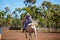 Horse And Rider Competing In Barrel Race At Outback Country Rodeo