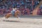Horse and rider gallop to finish line of barrel race at the Williams Lake Stampede