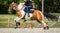 Horse and rider galloping