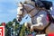 Horse Rider Jumping Pole Closeup Action