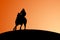 Horse and Rider - Silhouette